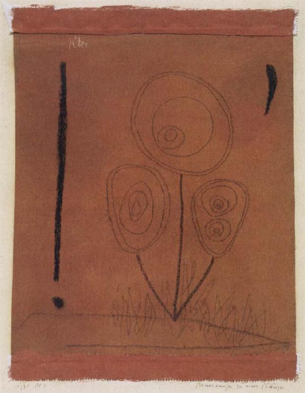 Paul Klee Remarks concerning a plant